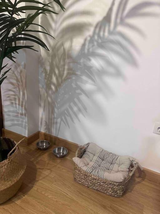 Apartamento El Picu Collanzo Eksteriør bilde