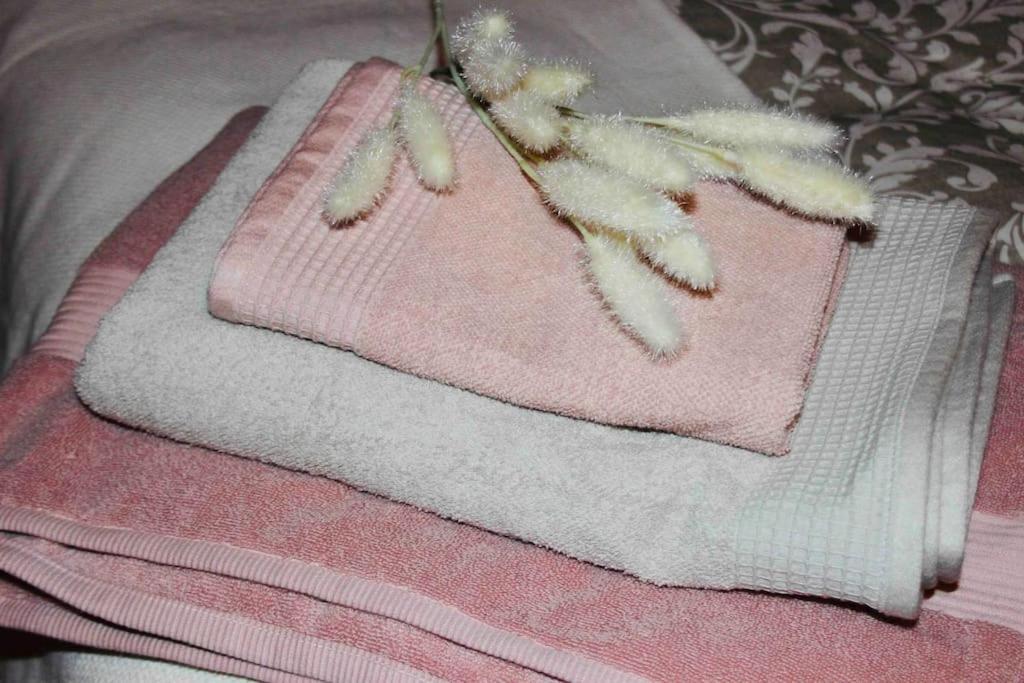 Apartamento El Picu Collanzo Eksteriør bilde